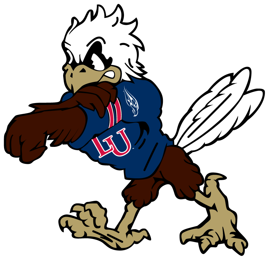 Liberty Flames iron-on decals, logos iron-on transfers, DIY T shirt ...